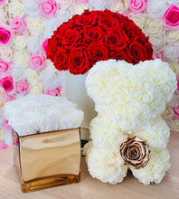 Load image into Gallery viewer, Glass Preserved Flower Vase & Rose Bear With Real Eternity Rose