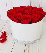 Load and play video in Gallery viewer, Round Preserved Flower Box