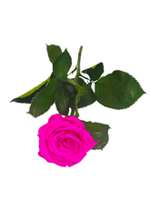 Load image into Gallery viewer, The Forever Single Rose