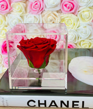 Load image into Gallery viewer, Single Preserved Red Rose Acrylic Box
