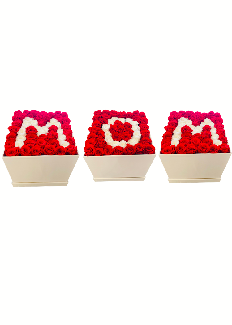 Initial Letter Set White & Red Preserved Roses